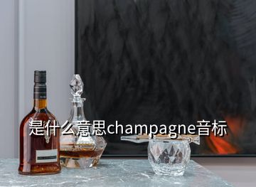 是什么意思champagne音標