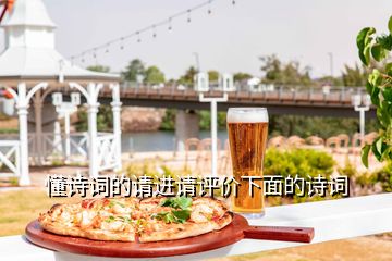 懂詩詞的請進請評價下面的詩詞