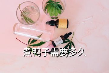 煮鴨子需要多久