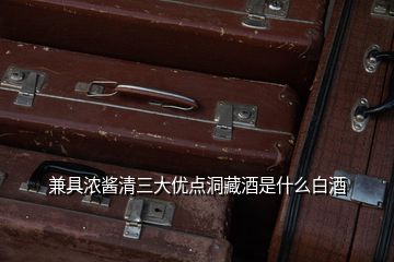 兼具濃醬清三大優(yōu)點(diǎn)洞藏酒是什么白酒