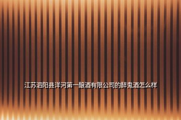 江蘇泗陽(yáng)縣洋河第一釀酒有限公司的醉鬼酒怎么樣