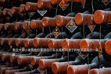 各位大哥小弟我近日要騎自行車從成都到遂寧的射洪請指示一條最