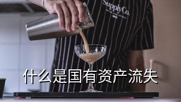 什么是國有資產(chǎn)流失