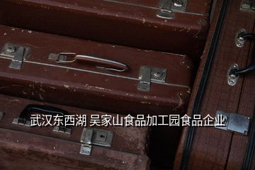 武漢東西湖 吳家山食品加工園食品企業(yè)