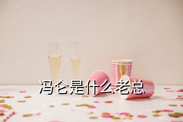 馮侖是什么老總