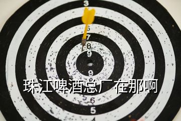 珠江啤酒總廠在那啊