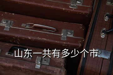山東一共有多少個市