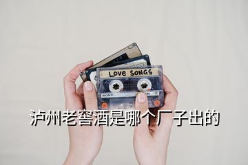 瀘州老窖酒是哪個廠子出的