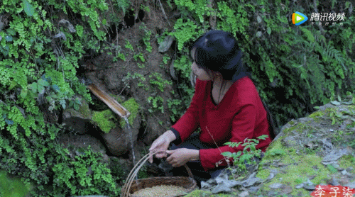 被央視點贊，“李子柒”的故事，酒業(yè)可以復制嗎？