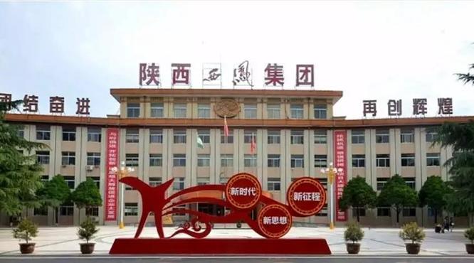 2019全年?duì)I收突破60億元，百億西鳳指日可待！