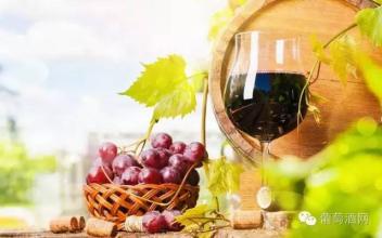 紅酒有澀味是什么原因？什么葡萄酒單寧含量比較高？