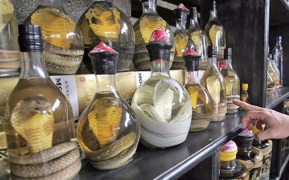 毒蛇泡酒多久才能喝？毒蛇泡酒多久才會(huì)死？