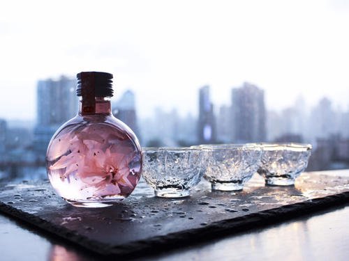 如何制作櫻花酒？櫻花酒有什么功效？