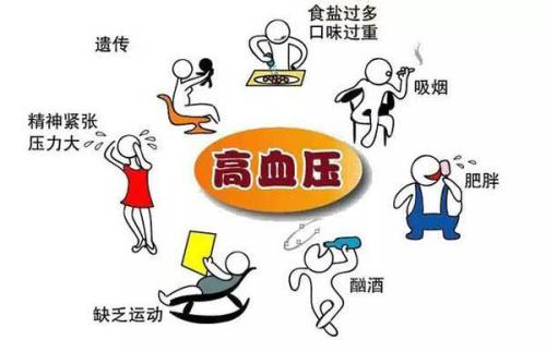 高血壓為什么要忌酒
