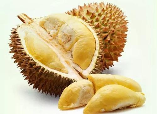 榴蓮和啤酒一起吃油什么后果？吃完榴蓮多久能喝啤酒？