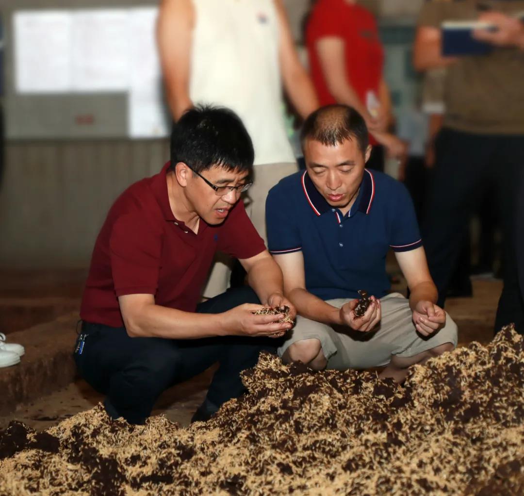 茅臺集團七輪次酒開烤首日高衛(wèi)東、李靜仁赴制酒車間調(diào)研