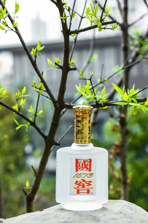 國窖1573臻傳價(jià)格(國窖1573臻傳價(jià)格表)