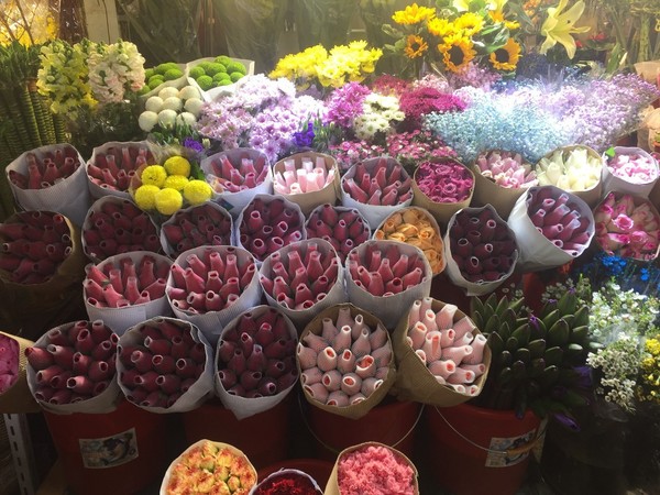紅冠群芳多少錢(qián)(紅冠群芳多少錢(qián)?我)