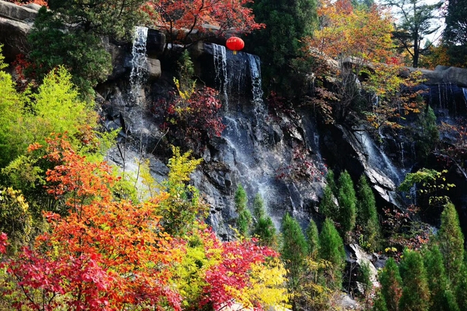 紅葉谷白酒(紅葉谷白酒多少錢(qián)一瓶)