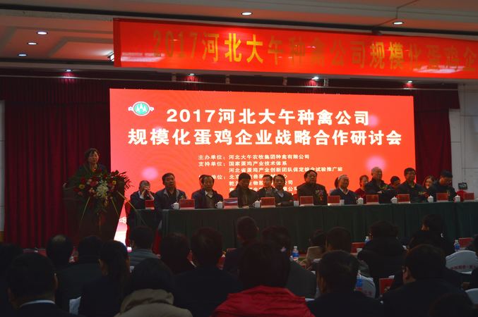 大午集團(tuán)有多少錢(大午集團(tuán)有多少公司)
